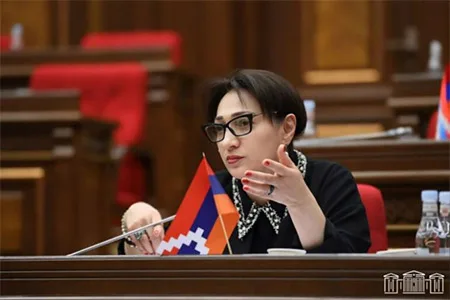 Оппозиционный депутат: уголовное преследование со стороны государства не должно превращаться в инструмент нарушения человеческого достоинства