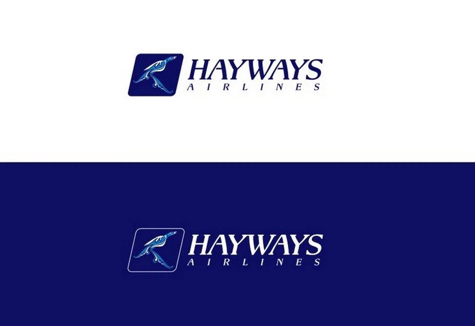 Hayways LLC Files Lawsuit Against Carlyle Aviation in Florida Over Boeing 737 Deal