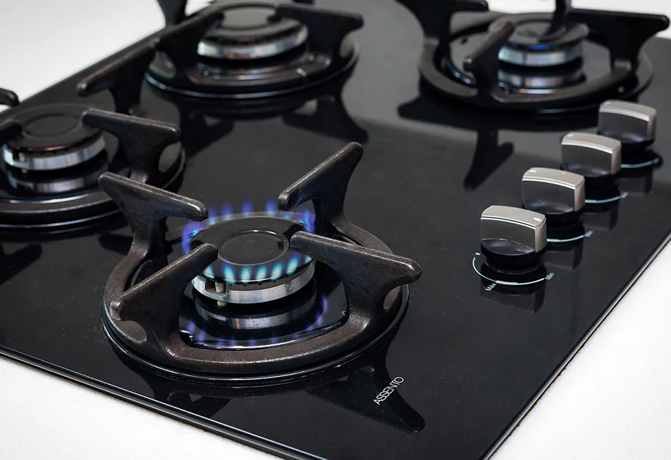 Pashinyan points to possible diversification of gas supplies