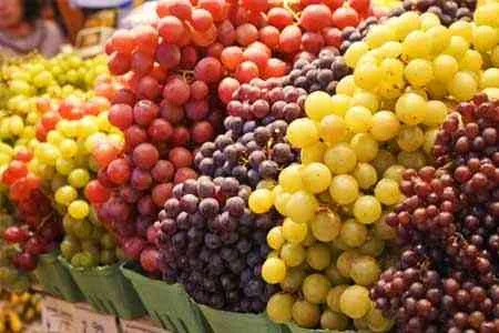 Armenia to subsidize interest on loans for grape procurement
