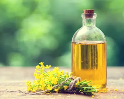 Ֆրանսիայում վարորդները դիզելի փոխարեն հլածուկի յուղ են օգտագործում