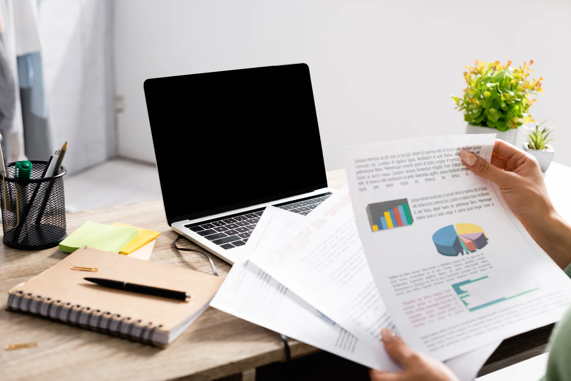 Armenia registered 2,574 sole proprietors in August 2026