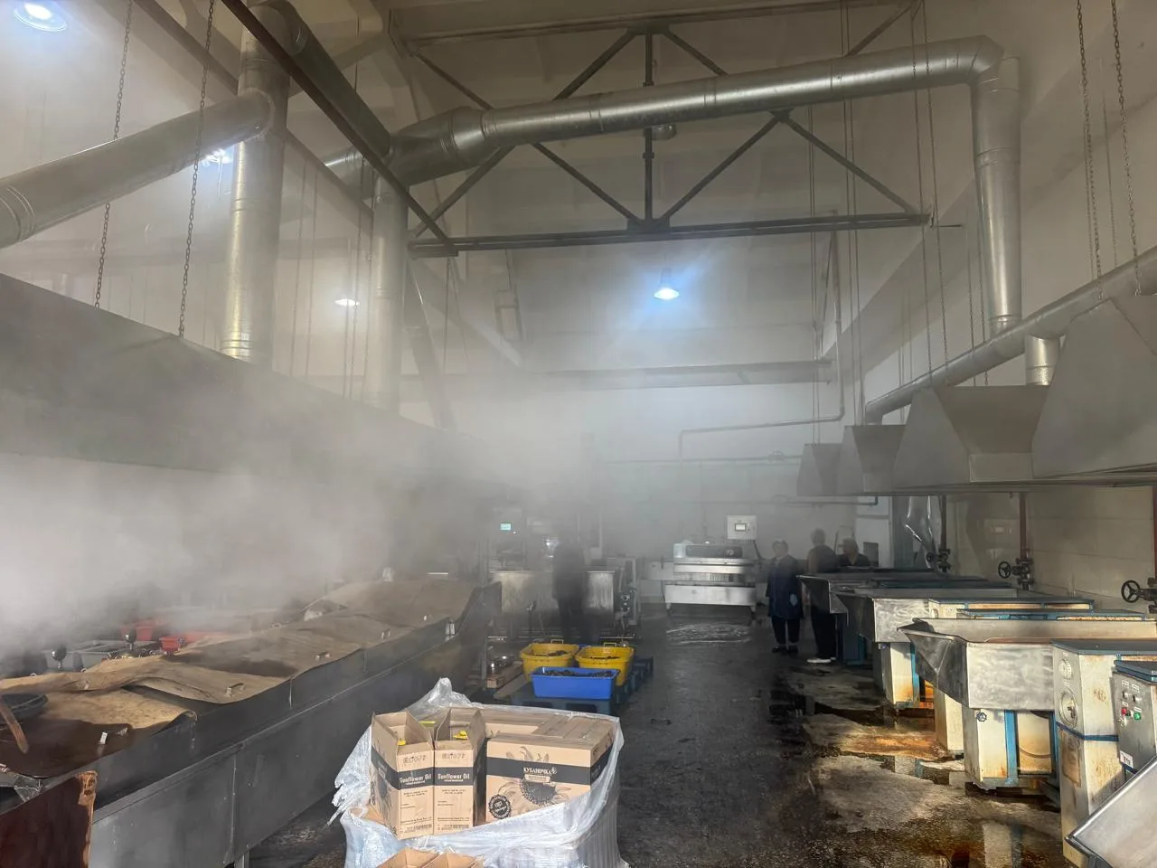 Vil Food’s canned fruit and vegetable production suspended